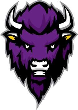 Capital City Bison Logo